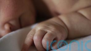 Caesarean babies missing key microbes at birth ‘can get them from other sources’