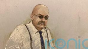 Bronson faced brutal treatment in jail, psychologist tells parole hearing