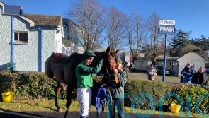 Night And Day ruled out of Cheltenham Festival