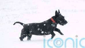 Snow warnings in place after coldest night of the year