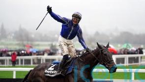 Energumene among nine left in Champion Chase
