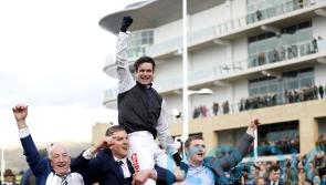 No time for complacency in burgeoning career of Danny Mullins