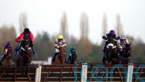 Henderson hoping for royal approval on the march to Cheltenham riches
