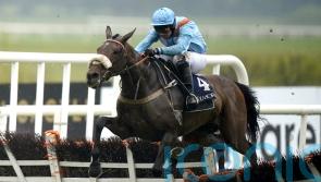 ‘No firm decision’ as connections of Marie’s Rock weigh up Festival choice