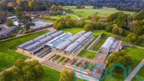 More than 40,000 plant species now stored in Kew Gardens’ seed bank