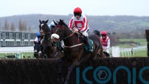 Neville favouring Festival novice option for The Real Whacker