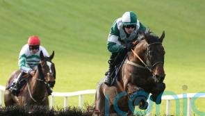 Blazing Khal given go-ahead for Stayers’ Hurdle challenge