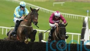Churchstonewarrior primed for Cheltenham test