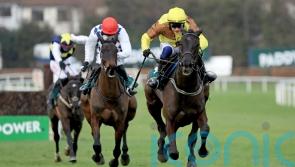 Galopin Des Champs among 14 left in Gold Cup