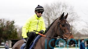 McCoy excited to see Constitution Hill strut his stuff