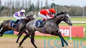 Berkshire Shadow claims Wulfruna win
