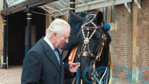 Royal Canadian Mounted Police give horse to King
