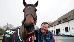 Constitution Hill faces State Man as seven line up in Champion Hurdle
