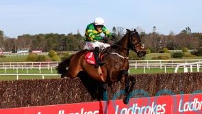 Setback rules Gentleman De Mee out of Champion Chase