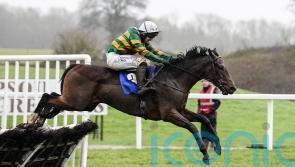 Comfort Zone forced to miss Triumph Hurdle bid