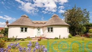 Why pups of all shapes and sizes will love dog-friendly Winterton-on-Sea