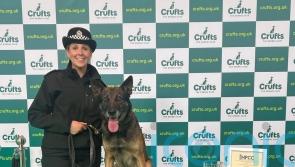 Handler who broke foot and police dog receive Crufts award as team of the year