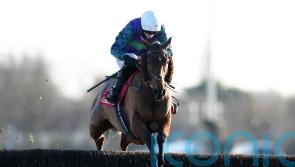 Johnson White bidding for dream start to new career with Thyme Hill