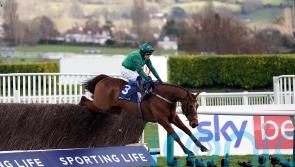El Fabiolo sees off old rival Jonbon for Arkle glory