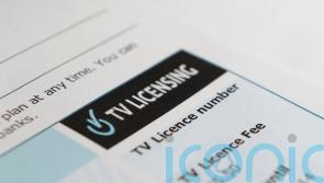 Culture minister suggests TV licence losing support among public