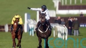 Mullins joins everyone else in being in awe of Constitution Hill
