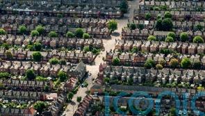 Census shows ‘huge’ variation in housing and education among ethnic groups