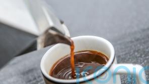 Commonly used sweetener has ‘unexpected effect on immune system’, say scientists