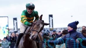 A Dream outcome for Waterford duo at Cheltenham