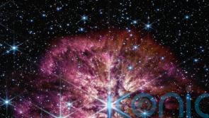 Nasa Webb telescope captures star on cusp of death