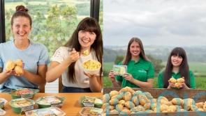 Feeling chipper, the students who are ‘living the dream’ as full-time professional potato tasters