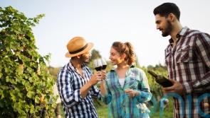 6 cabernet sauvignons to swoon over