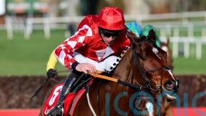 ‘Everything is so easy to him’ – Elliott full of hope with Mighty Potter