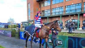 ‘All systems go’ – Three Card Brag an ace to play for Elliott in Albert Bartlett