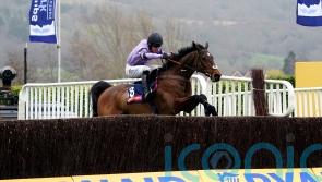 Stage Star strikes from the front for Nicholls and Cobden