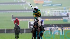 Sire Du Berlais is a Festival hero once again
