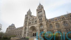 Natural History Museum named most visited indoor UK attraction again