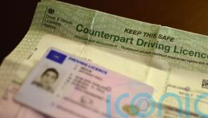 Three million people suffer driving licence delays since April 2020 – report