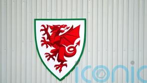 FAW says it takes disciplinary matters seriously in wake of investigation