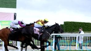 Bravemansgame will be back next year, says proud Nicholls