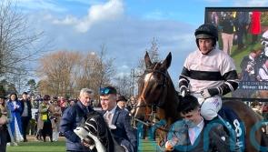 Premier just Magic for Bradley Gibbs