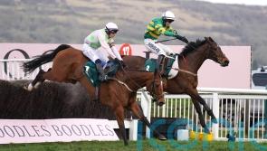 Colm Murphy back in Cheltenham winner’s enclosure with Impervious