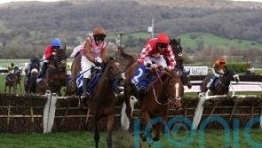Faivoir gets the nod to give Skelton another County Hurdle