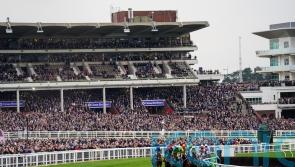 Fears of whip rules overshadowing Cheltenham prove unfounded
