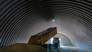 Russia and Ukraine extend grain deal to aid world’s poor