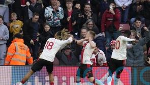 James Ward-Prowse nets late equaliser as Southampton rescue Tottenham point