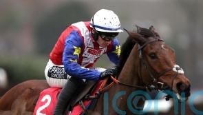 Punchestown consideration for Love Envoi ‘if she’s bouncing’