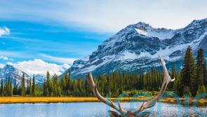 Enjoy your own Race Across The World in Canada