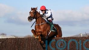 Banbridge booked for Aintree after missing Cheltenham