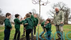 Sir David Attenborough plants tree to open woodland in honour of late Queen