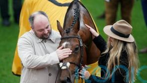 Options open for McConnell’s Cheltenham hero Seddon